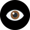 Oculis Analytics