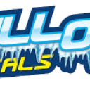 Chill Out Rentals