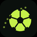 OzilGoal