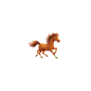 happy-horse