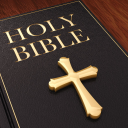 Bible Study AI - Offline