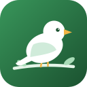 AttractBirds.app