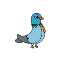 Pigeon