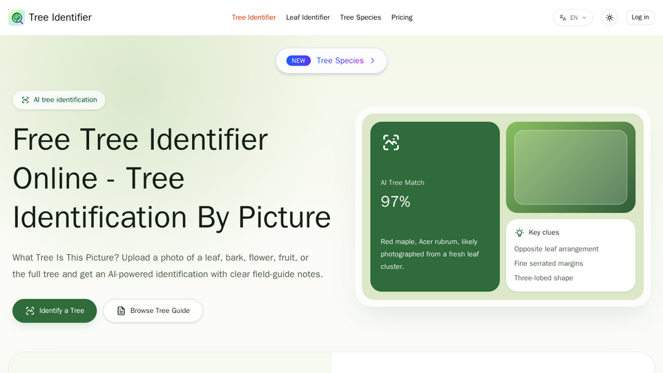 Screenshot of Tree Identifier