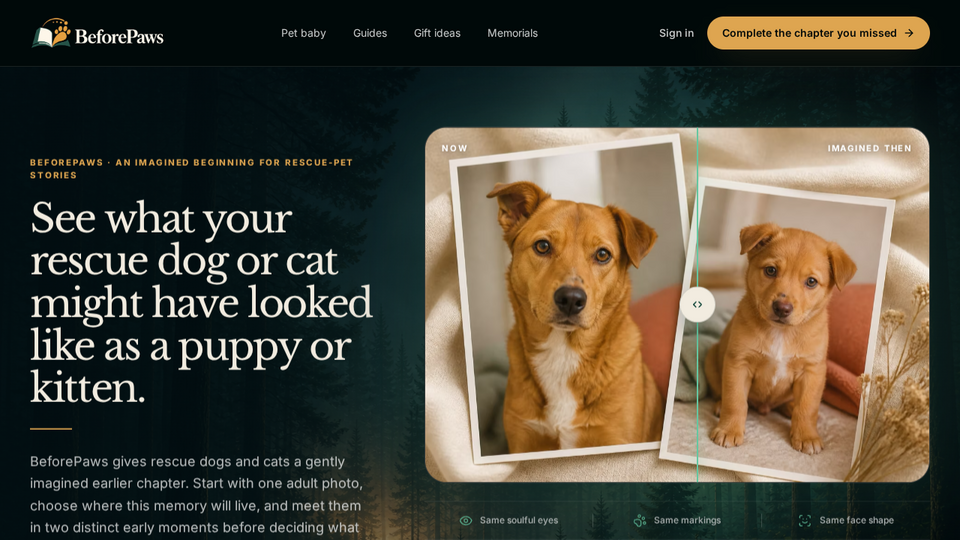 Screenshot of BeforePaws