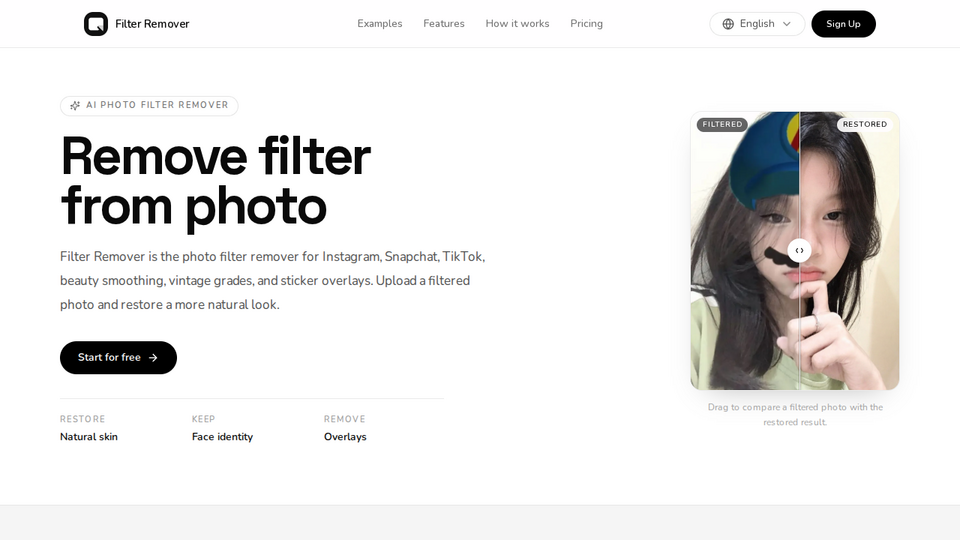 Screenshot of Filter Remover