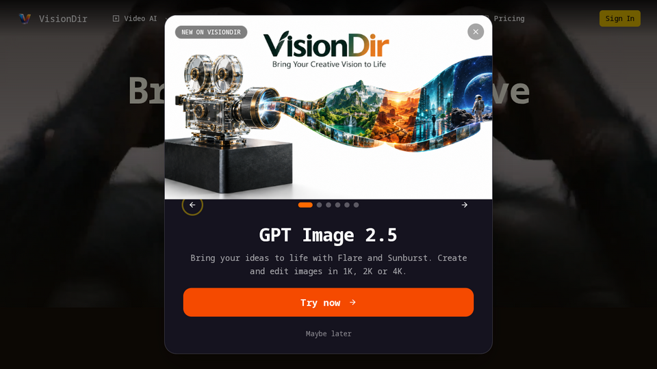 Screenshot of VisionDir