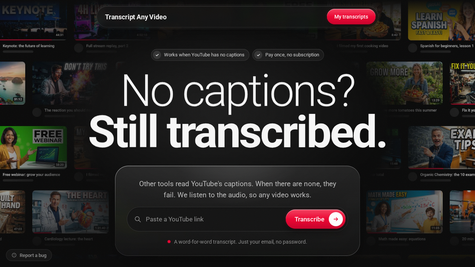 Screenshot of Transcript Any Video