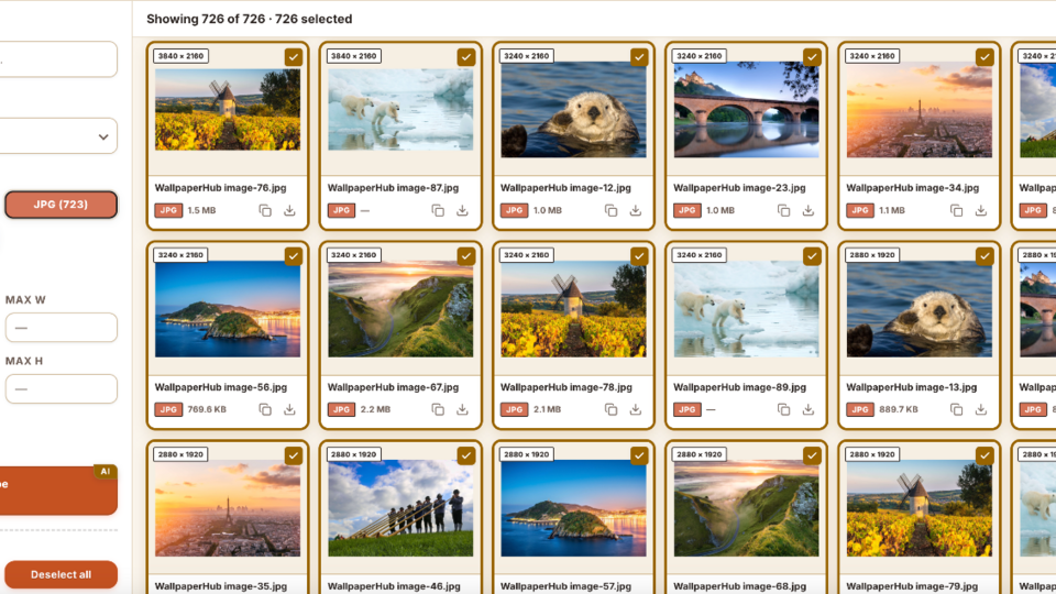 Screenshot of Bulk Image Download