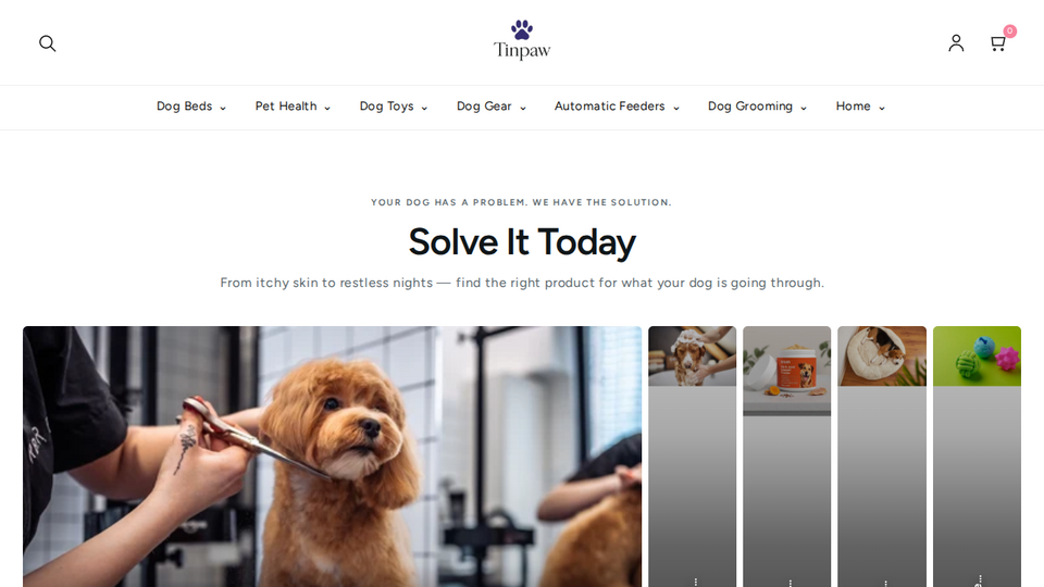 Screenshot of TinPaw