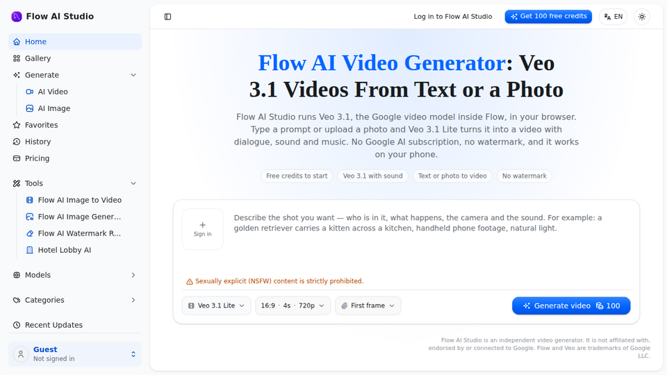 Screenshot of Flow AI Studio