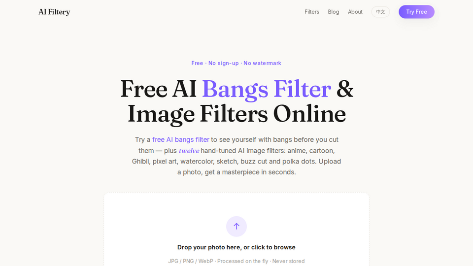 Screenshot of AI Filtery