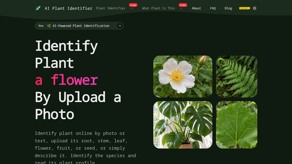 Screenshot of What Plant Is This